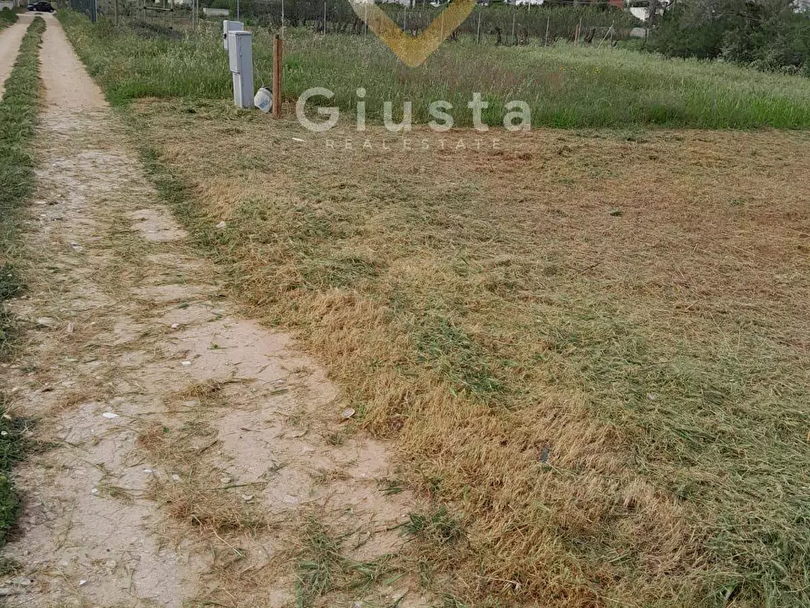 Immagine 4 di Terreno agricolo in vendita  in Via Vega a Brindisi