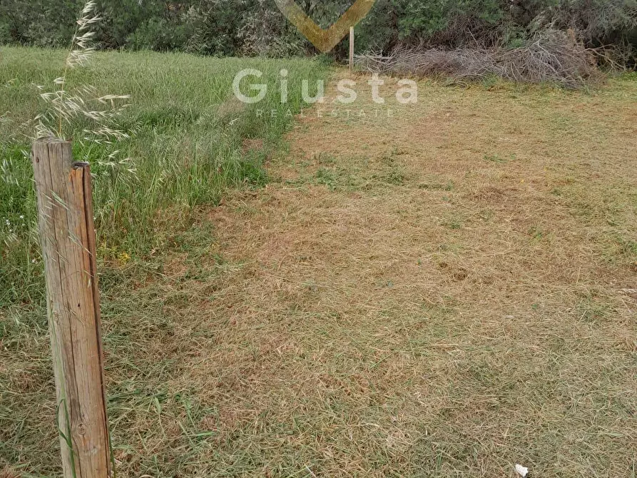 Immagine 6 di Terreno agricolo in vendita  in Via Vega a Brindisi