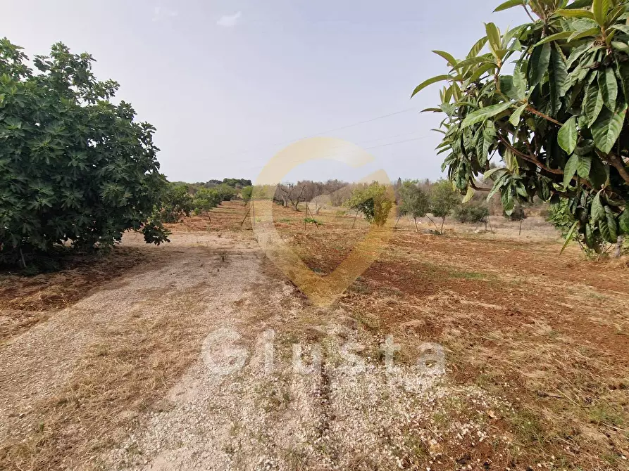 Immagine 19 di Villa in vendita  in Contrada Gabellotti a Brindisi