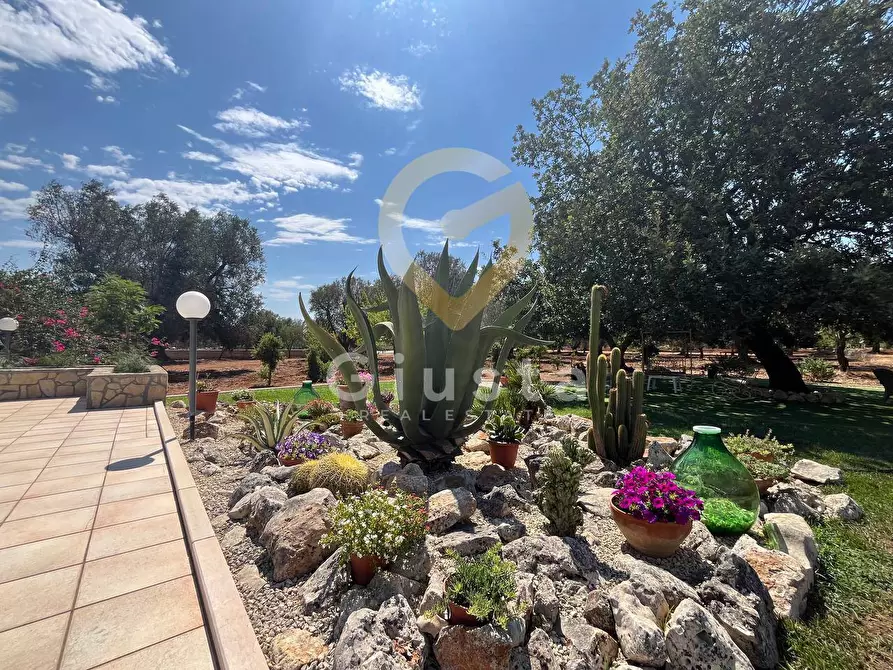 Immagine 9 di Villa in vendita  in C.DA PALAGOGNA a Ceglie Messapico