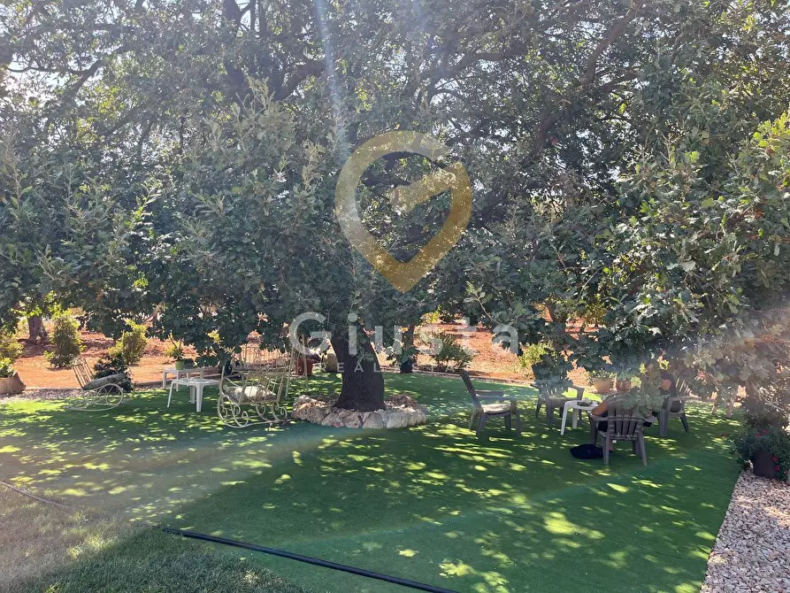 Immagine 10 di Villa in vendita  in C.DA PALAGOGNA a Ceglie Messapico