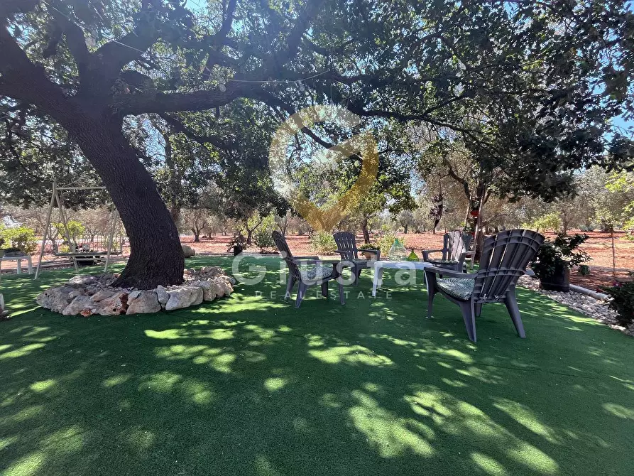 Immagine 19 di Villa in vendita  in C.DA PALAGOGNA a Ceglie Messapico