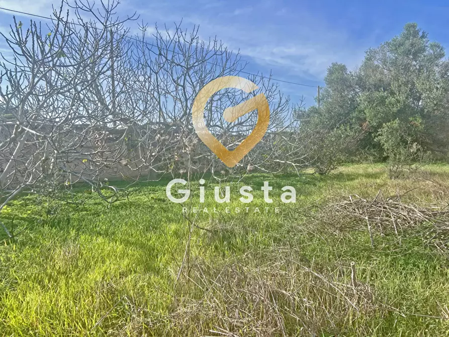 Immagine 16 di Villa in vendita  in Via Del Veliero a Trepuzzi