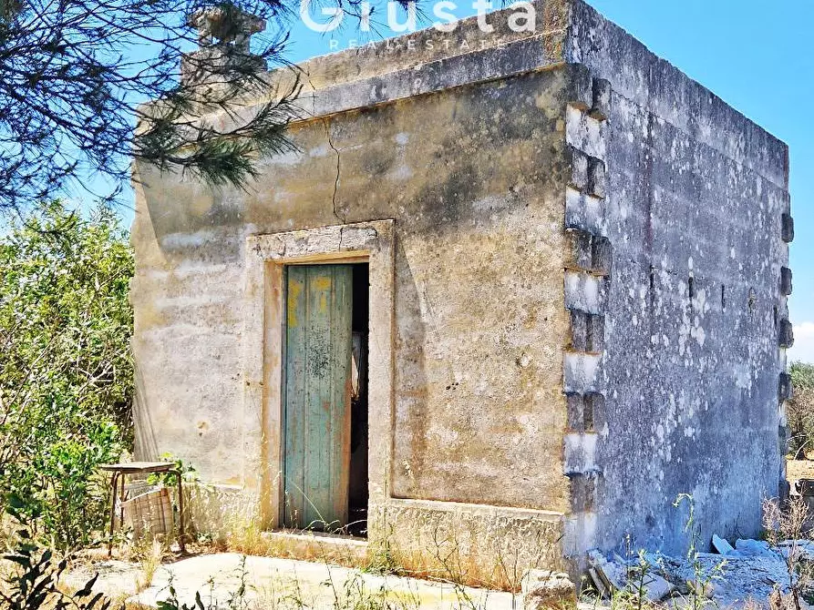 Immagine 4 di Terreno agricolo in vendita  in Contrada Torricella a Mesagne