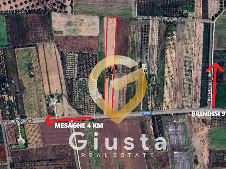 Immagine 6 di Terreno agricolo in vendita  in Contrada Torricella a Mesagne