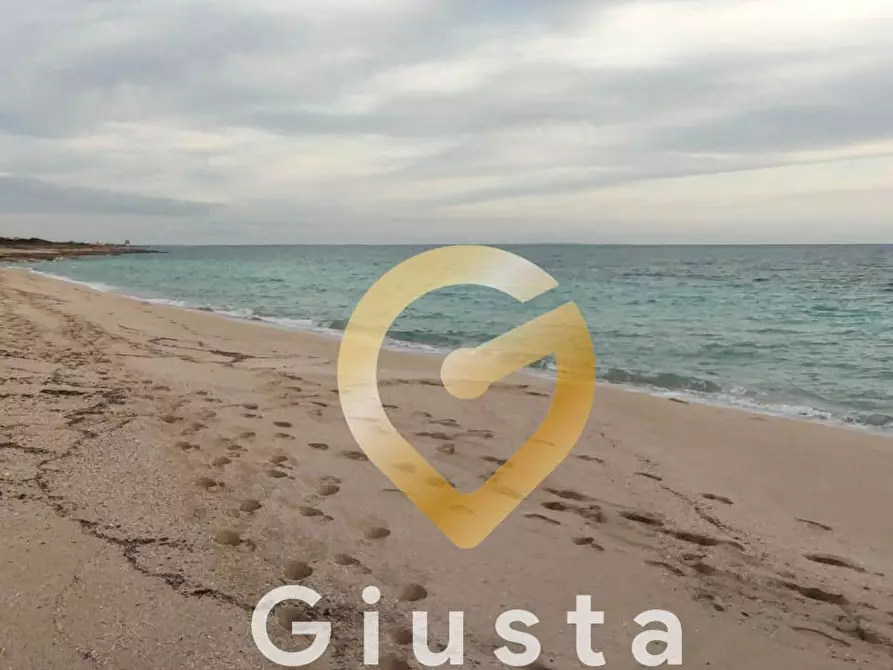 Immagine 11 di Terreno agricolo in vendita  in VIA DEL MIRTO a Manduria