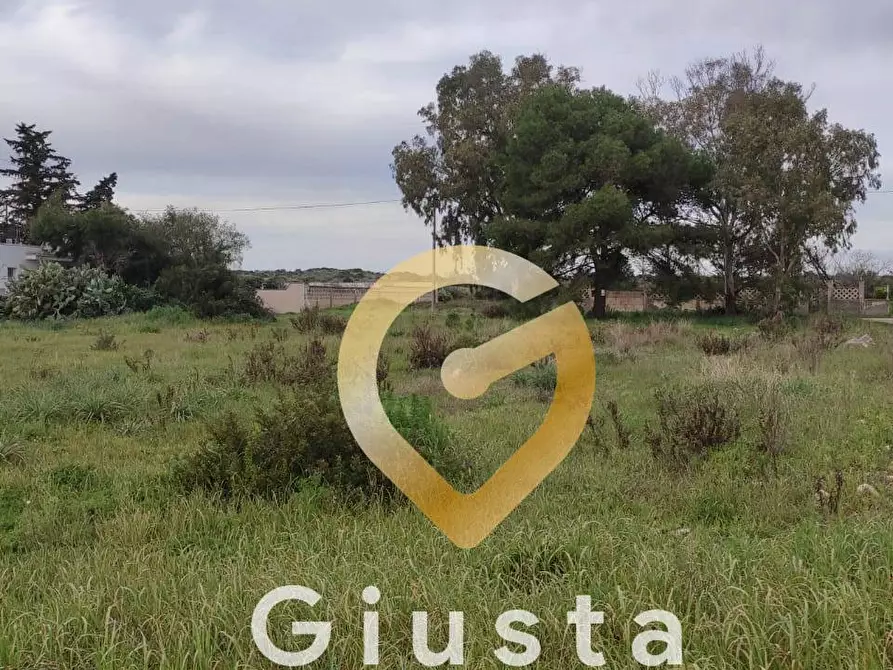 Immagine 6 di Terreno agricolo in vendita  in VIA DEL MIRTO a Manduria