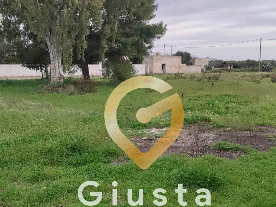 Immagine 7 di Terreno agricolo in vendita  in VIA DEL MIRTO a Manduria