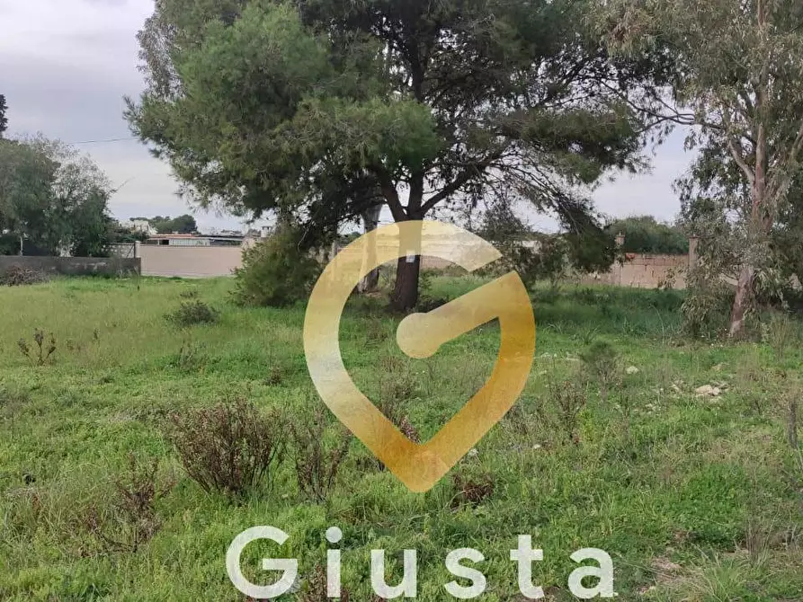 Immagine 4 di Terreno agricolo in vendita  in VIA DEL MIRTO a Manduria