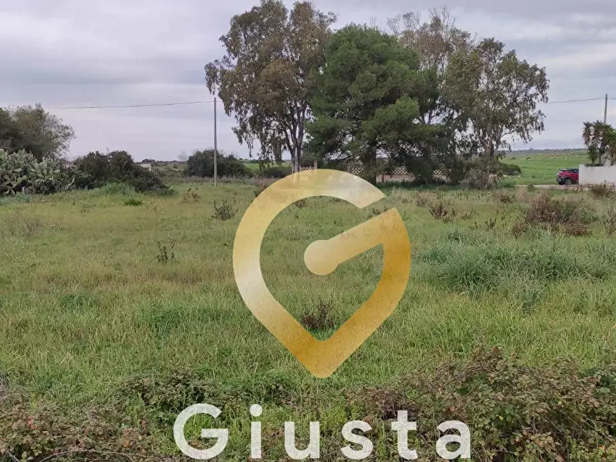 Immagine 5 di Terreno agricolo in vendita  in VIA DEL MIRTO a Manduria