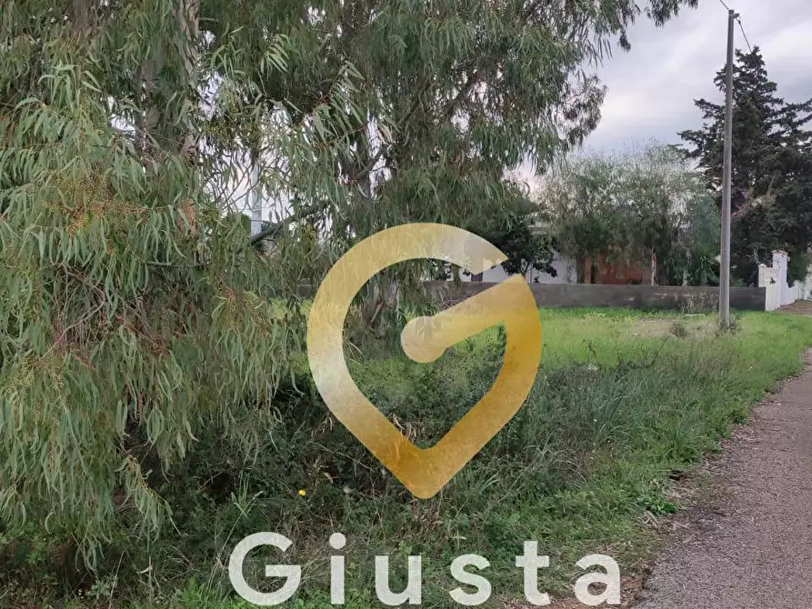 Immagine 9 di Terreno agricolo in vendita  in VIA DEL MIRTO a Manduria