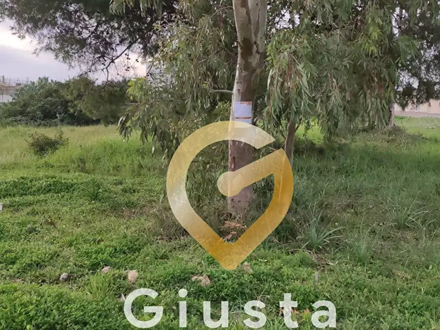 Immagine 10 di Terreno agricolo in vendita  in VIA DEL MIRTO a Manduria
