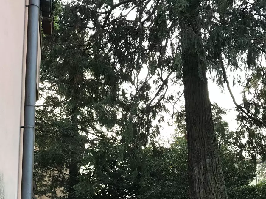 Immagine 25 di Appartamento in affitto  in Via Filelfo a Varese