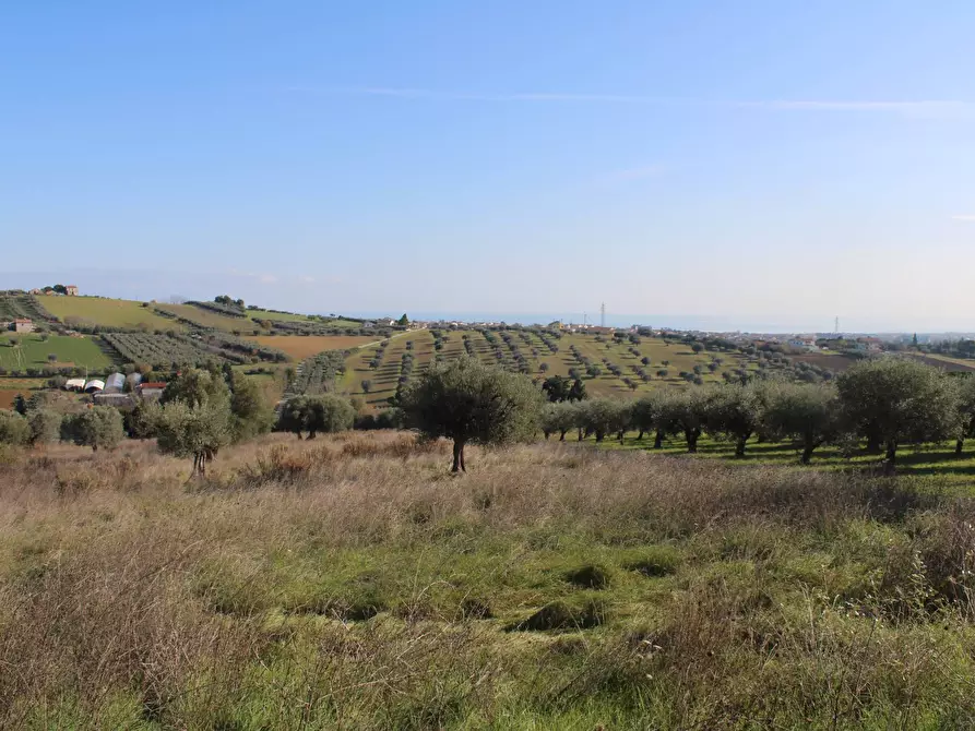 Immagine 3 di Casa indipendente in vendita  a Giulianova