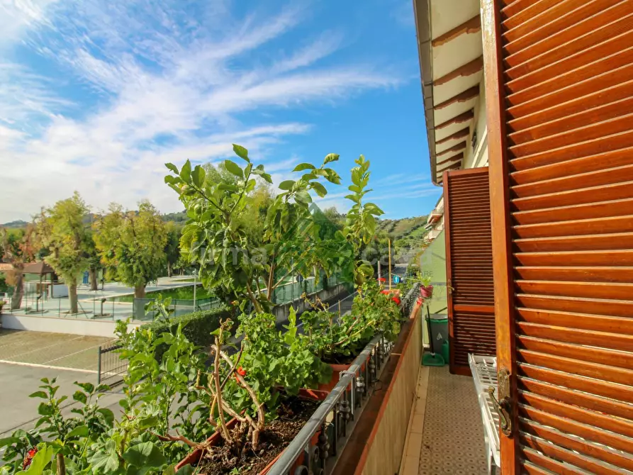Immagine 21 di Casa indipendente in vendita  in via Abruzzo a Alba Adriatica