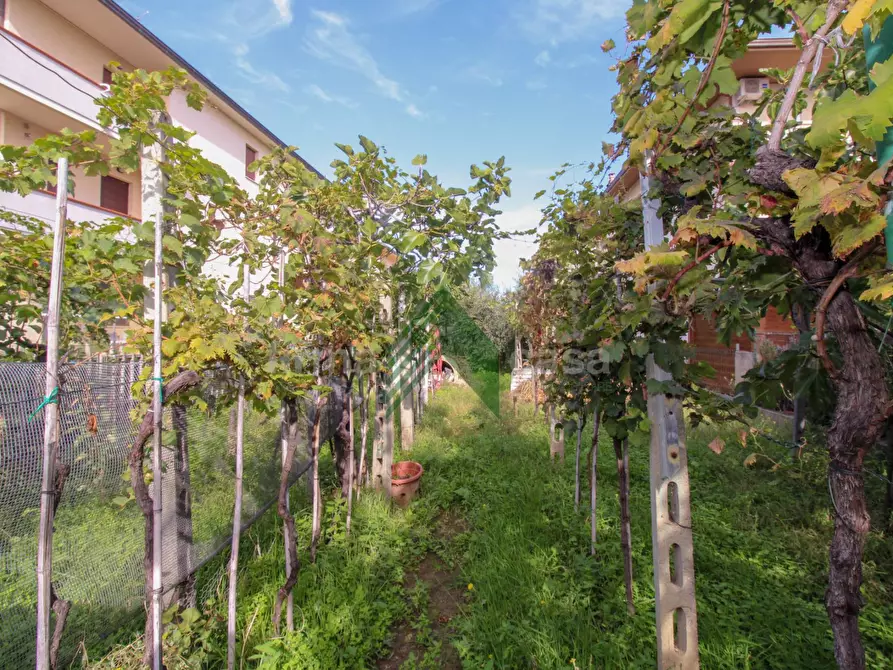 Immagine 28 di Casa indipendente in vendita  in via Abruzzo a Alba Adriatica
