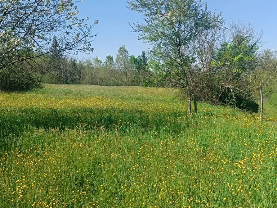 Immagine 6 di Rustico / casale in vendita  in Via I Maggio a Aulla
