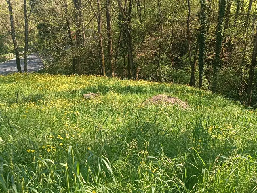 Immagine 10 di Rustico / casale in vendita  in Via I Maggio a Aulla