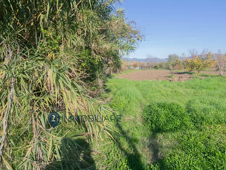 Immagine 14 di Appartamento in vendita  in Loc. Senato a Lerici