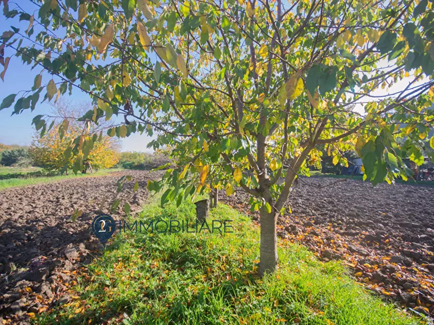 Immagine 2 di Appartamento in vendita  in Loc. Senato a Lerici
