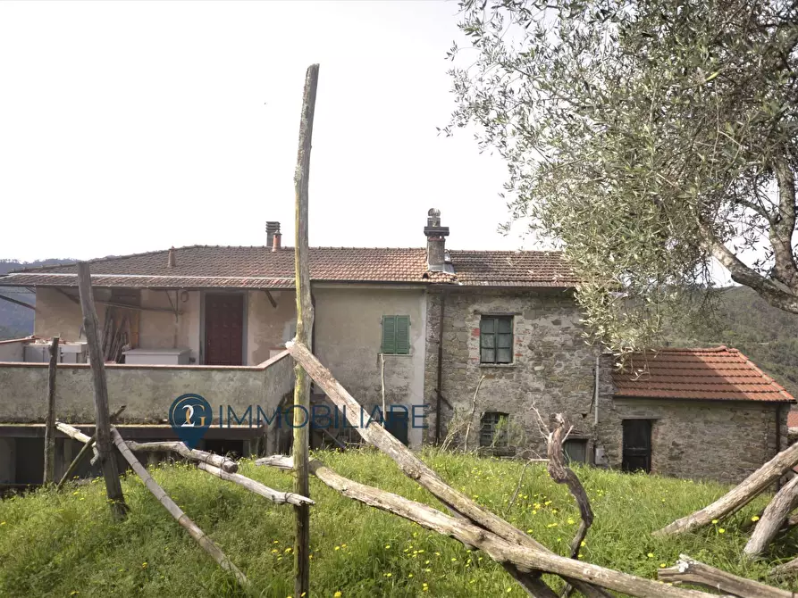 Immagine 11 di Casa indipendente in vendita  in Via Usurana a Calice Al Cornoviglio