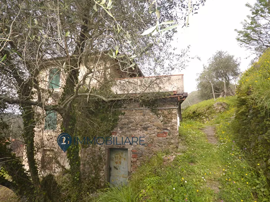 Immagine 3 di Casa indipendente in vendita  in Via Usurana a Calice Al Cornoviglio