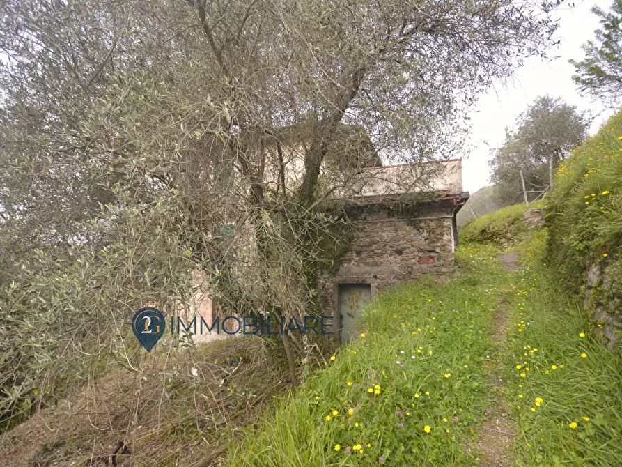 Immagine 10 di Casa indipendente in vendita  in Via Usurana a Calice Al Cornoviglio