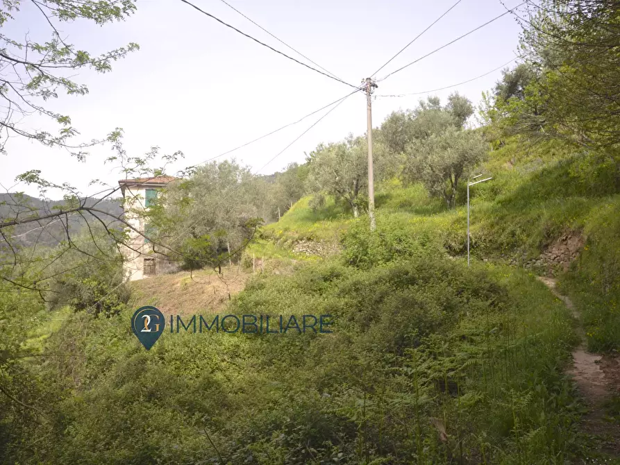 Immagine 13 di Casa indipendente in vendita  in Via Usurana a Calice Al Cornoviglio