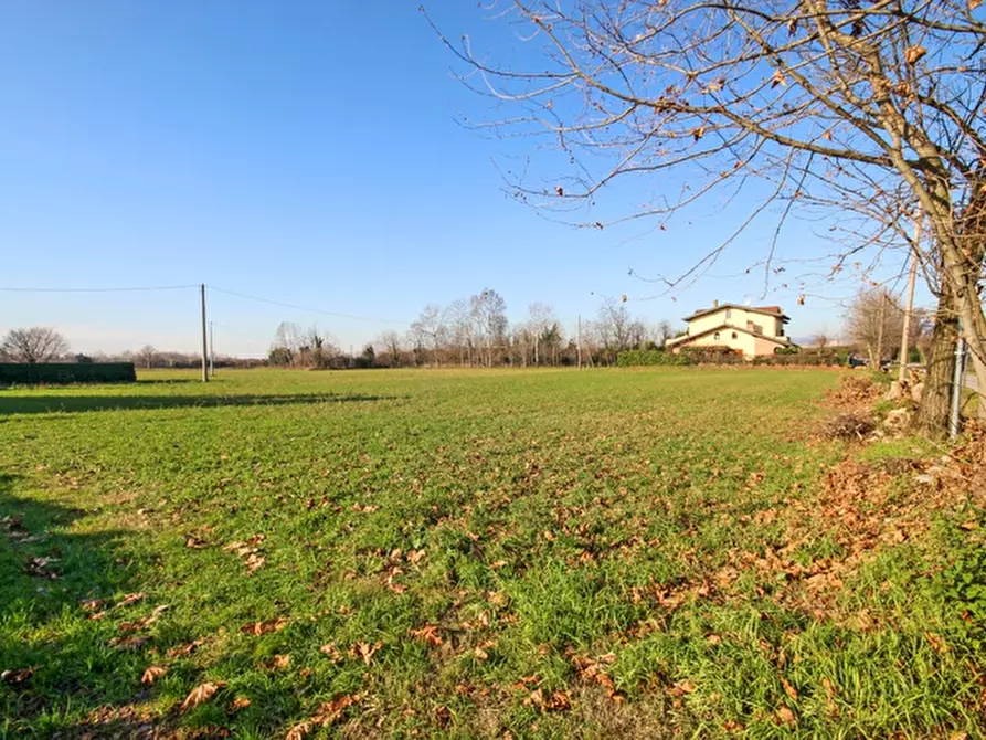 Immagine 1 di Terreno agricolo in vendita  a Seriate