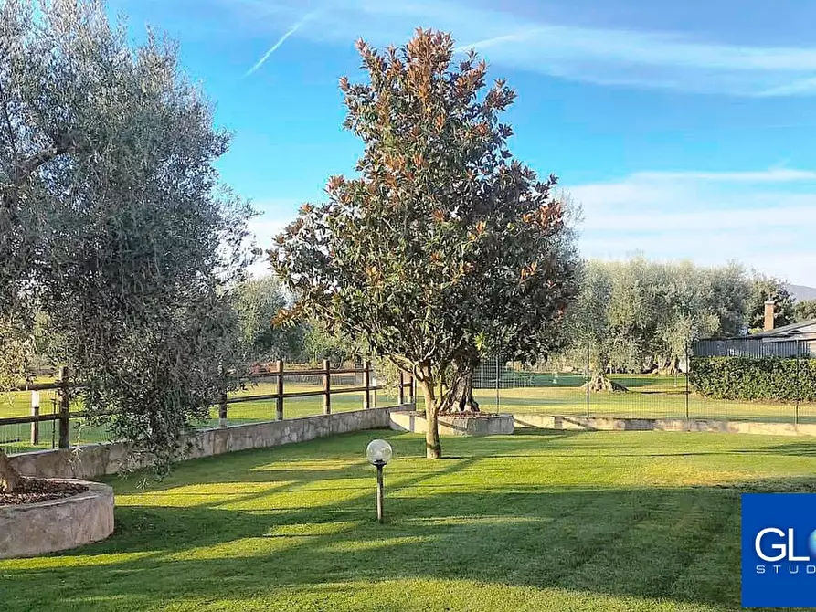 Immagine 19 di Villa in vendita  in Via Circonvallazione a Grosseto