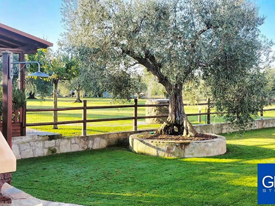 Immagine 23 di Villa in vendita  in Via Circonvallazione a Grosseto