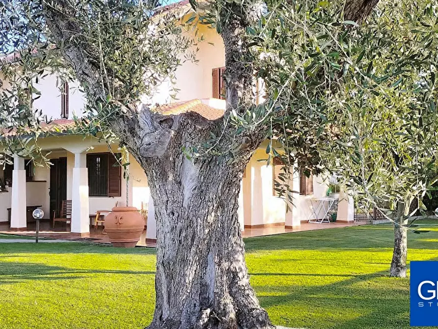 Immagine 27 di Villa in vendita  in Via Circonvallazione a Grosseto