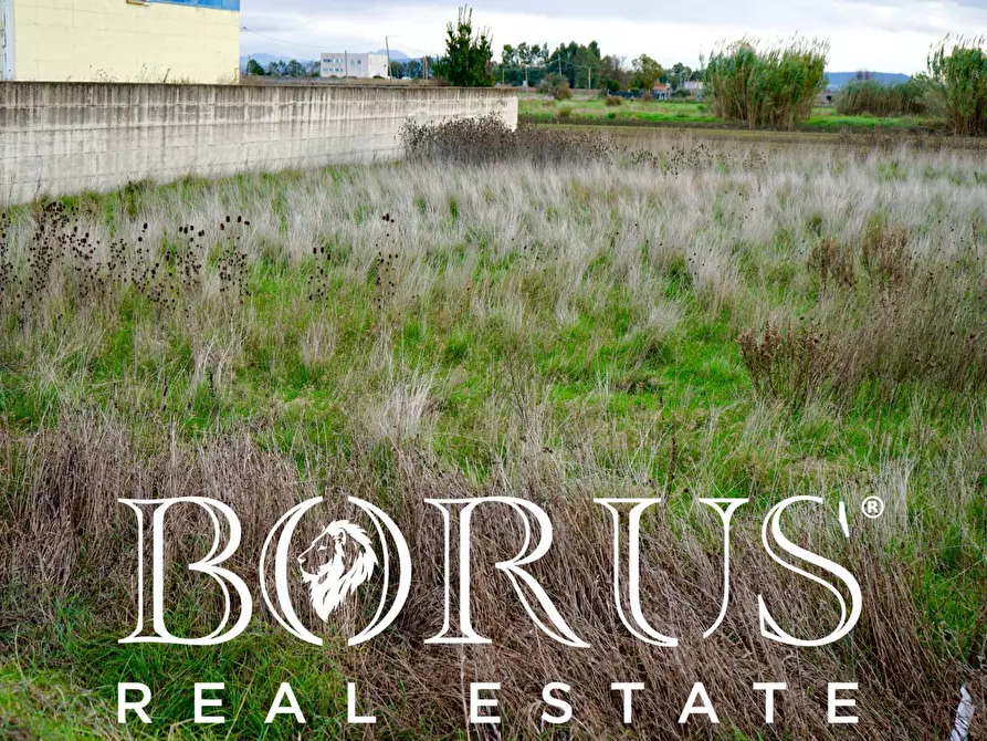 Immagine 2 di Terreno agricolo in vendita  a Castel Volturno