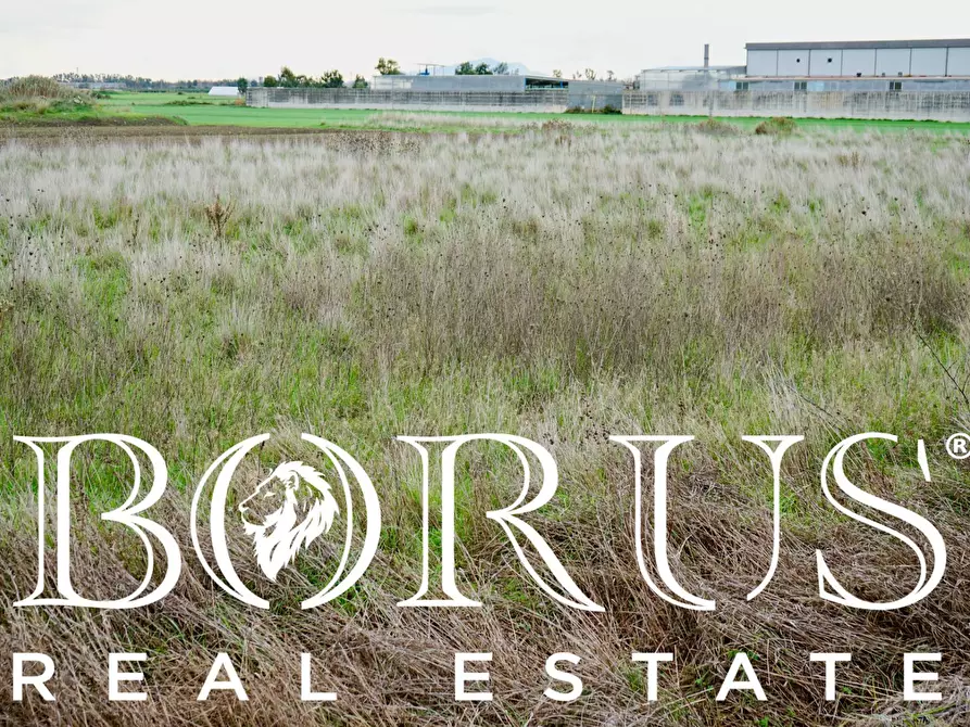 Immagine 3 di Terreno agricolo in vendita  a Castel Volturno