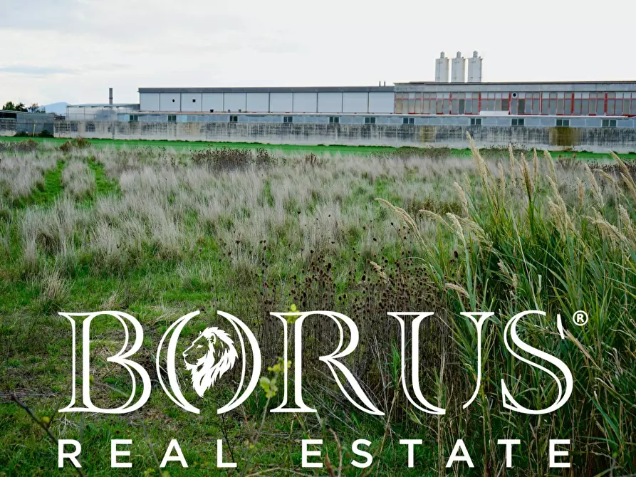 Immagine 5 di Terreno agricolo in vendita  a Castel Volturno