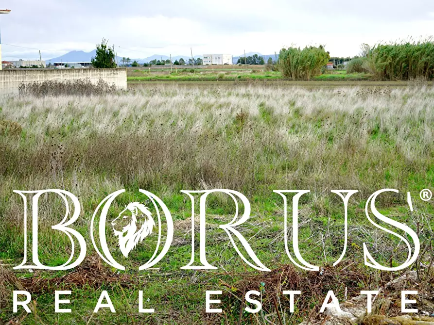 Immagine 7 di Terreno agricolo in vendita  a Castel Volturno