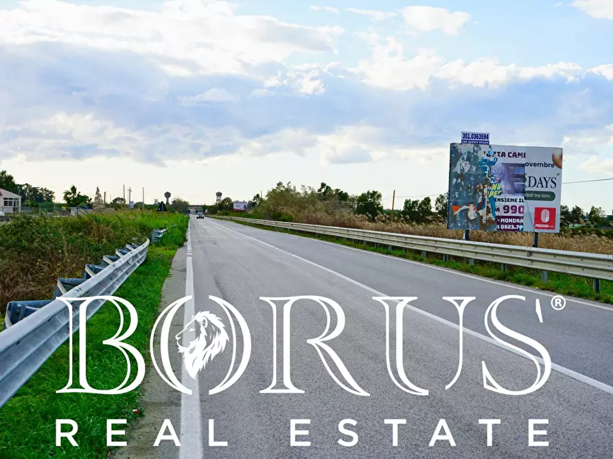 Immagine 8 di Terreno agricolo in vendita  a Castel Volturno