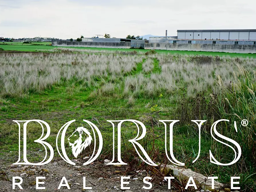 Immagine 9 di Terreno agricolo in vendita  a Castel Volturno