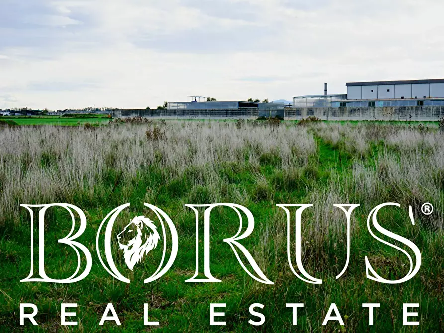 Immagine 10 di Terreno agricolo in vendita  a Castel Volturno