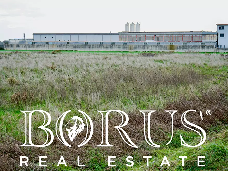 Immagine 11 di Terreno agricolo in vendita  a Castel Volturno