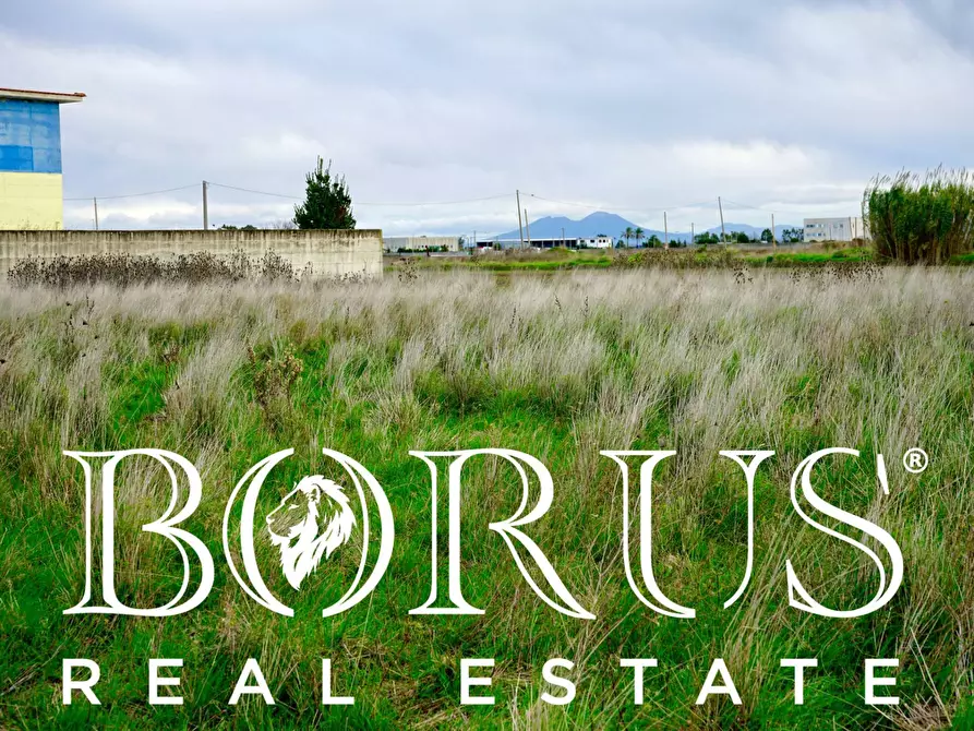 Immagine 12 di Terreno agricolo in vendita  a Castel Volturno