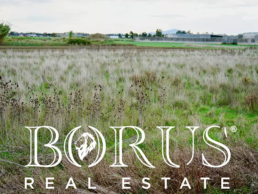 Immagine 13 di Terreno agricolo in vendita  a Castel Volturno