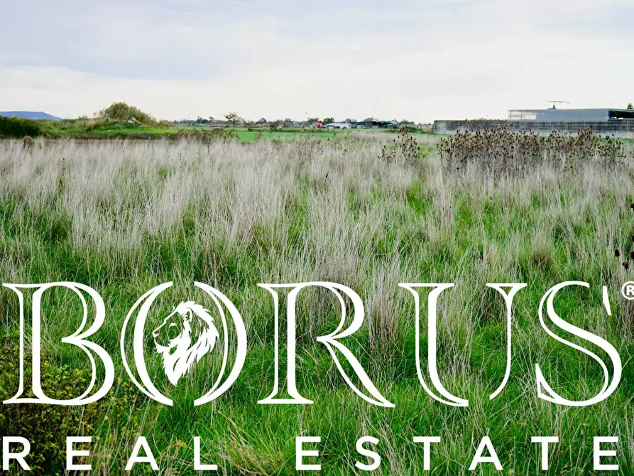 Immagine 14 di Terreno agricolo in vendita  a Castel Volturno