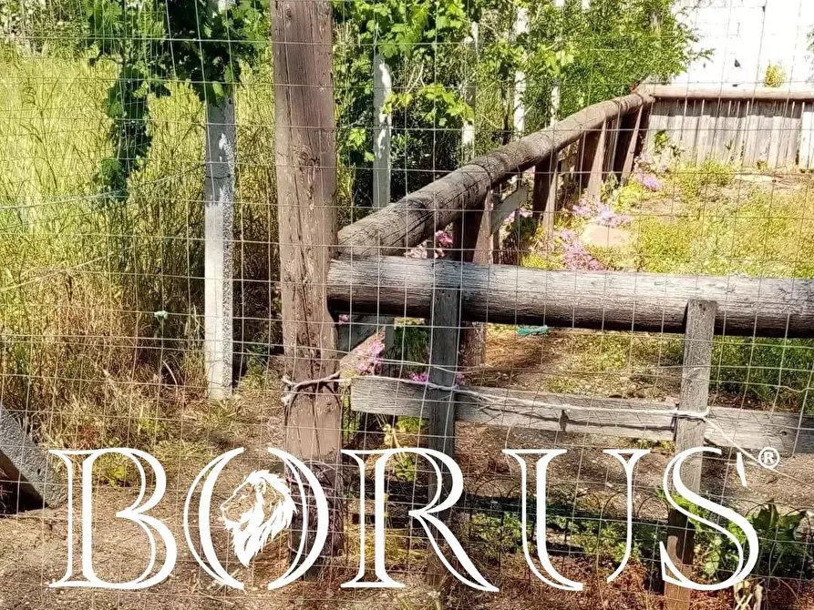 Immagine 3 di Terreno agricolo in vendita  in Viale Granacci a Castel Volturno