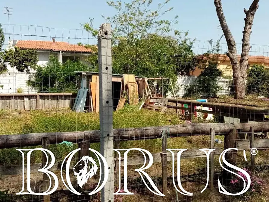 Immagine 4 di Terreno agricolo in vendita  in Viale Granacci a Castel Volturno