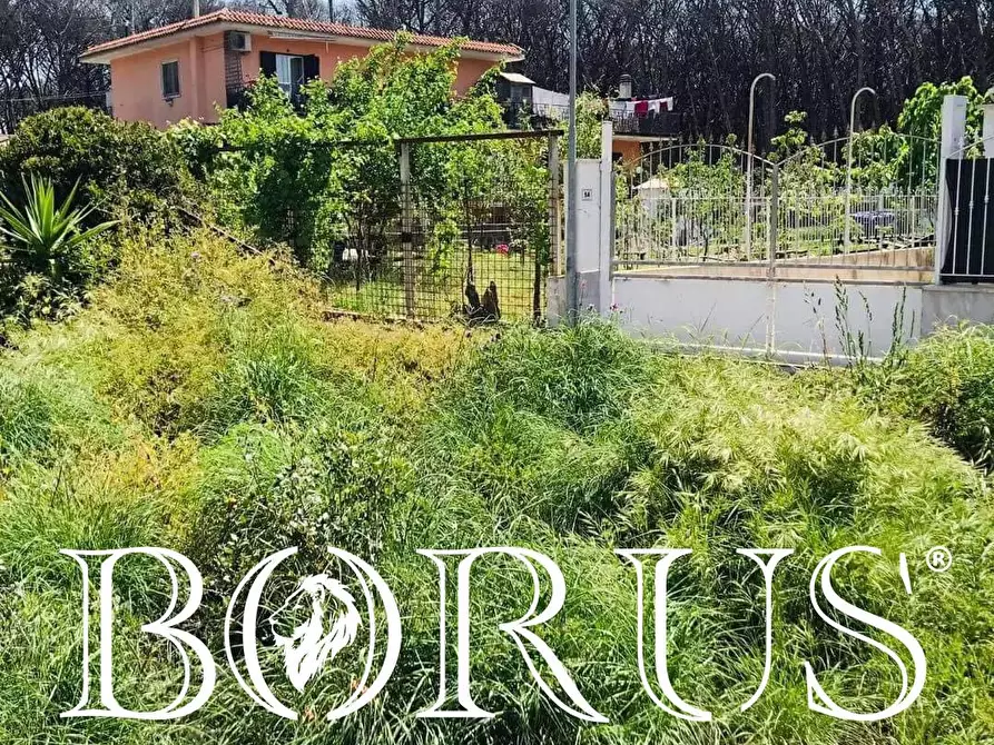 Immagine 4 di Terreno agricolo in vendita  in Viale Pitloò a Castel Volturno