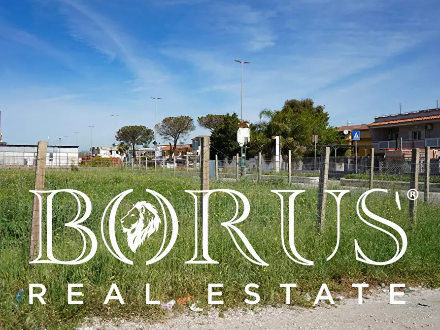 Immagine 2 di Terreno agricolo in affitto  in Baia Verde a Castel Volturno