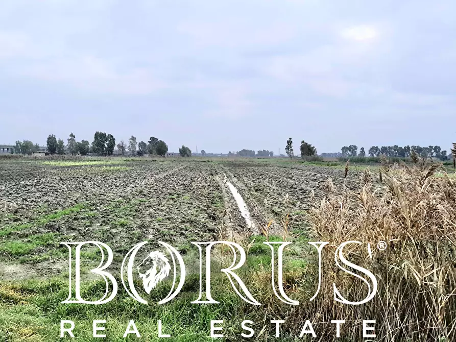 Immagine 1 di Terreno agricolo in vendita  a Castel Volturno