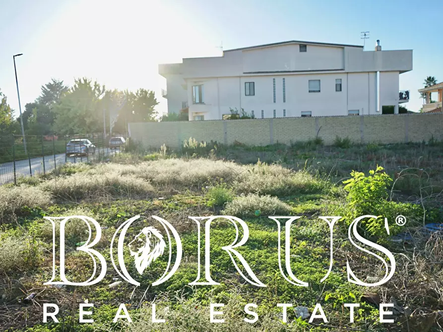 Immagine 3 di Terreno residenziale in vendita  in via Michelangelo Buonarroti 1 a San Cipriano D'aversa