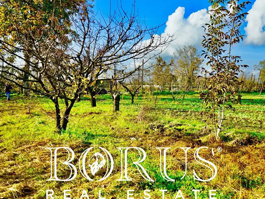 Immagine 10 di Terreno agricolo in vendita  a Teverola